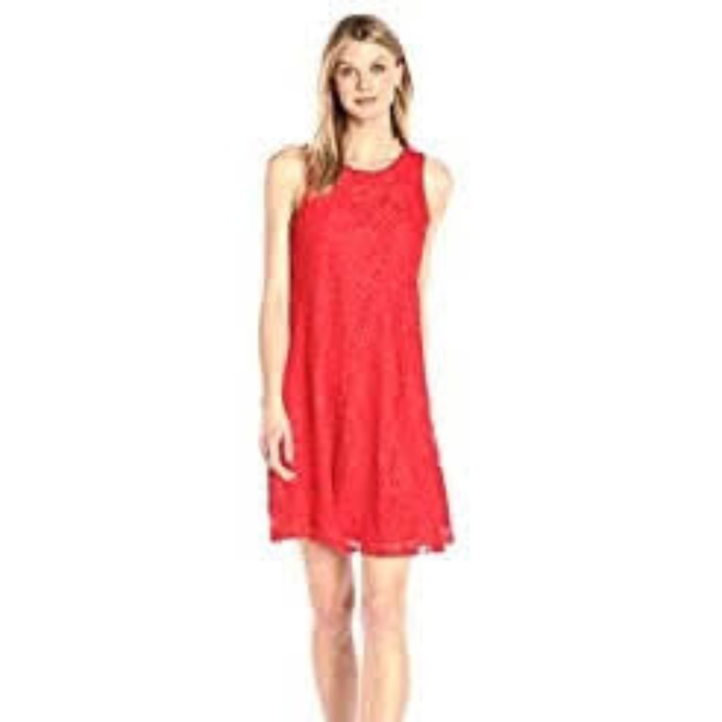 Sharagano Sleeveless Res Lace A Line Dress 4